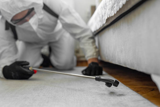 Professional Pest Control technician working in Raymond, MS