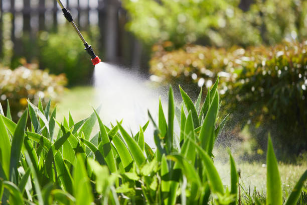 24/7 Emergency Pest Control experts in Raymond, MS