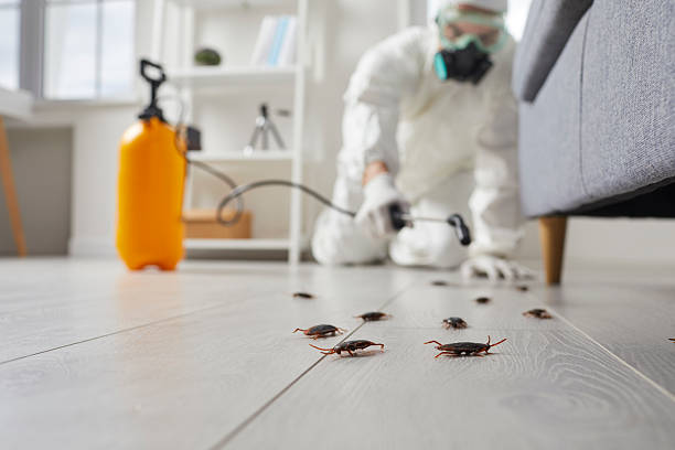 Affordable Pest Control solutions in Raymond, MS